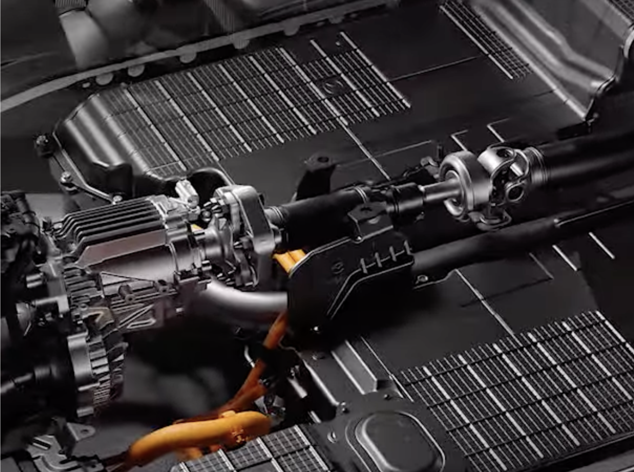 Cultura y capacidades